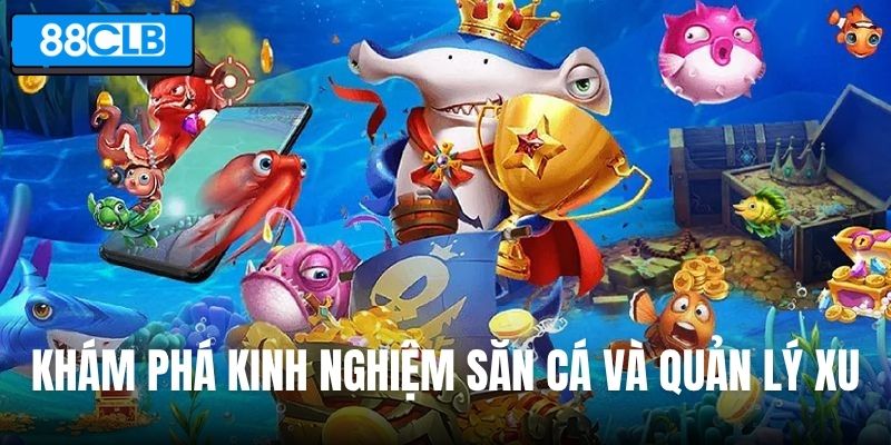 Khám phá kinh nghiệm săn cá và quản lý xu