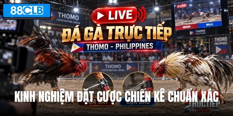 Kinh nghiệm đặt cược chiến kê chuẩn xác
