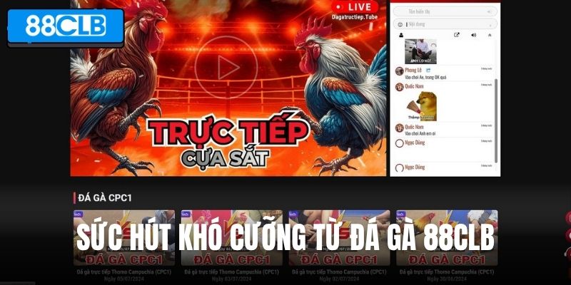 Sức hút khó cưỡng từ đá gà 88CLB