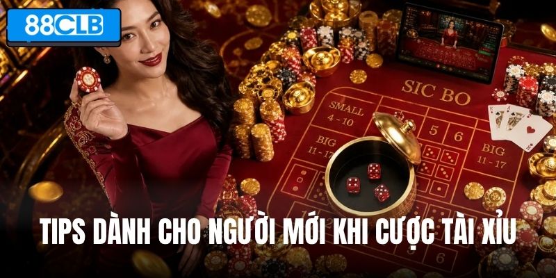 Tips dành cho người mới khi cược Tài Xỉu